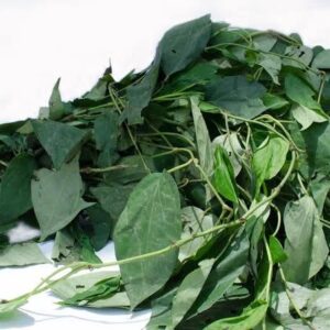 Fresh Oha Uzazi Utazi/Box (10 pcs)