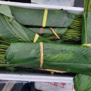 Fresh Moi Moi Leaves